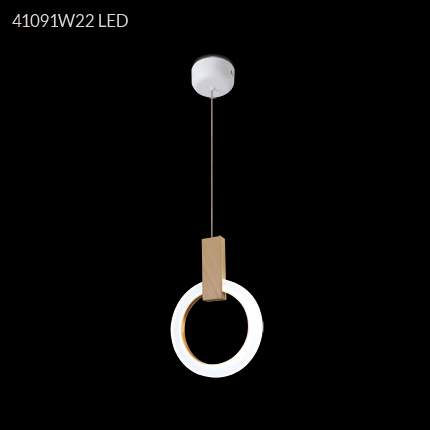 41091W22LED